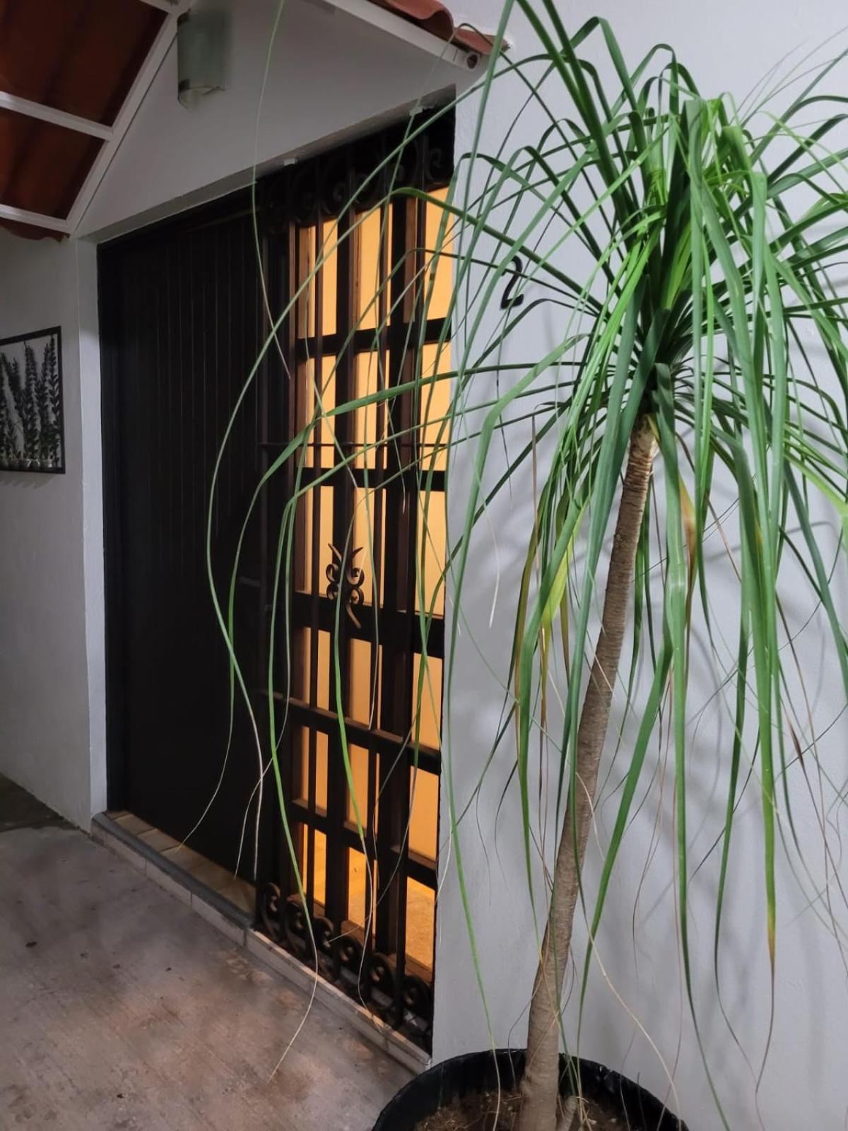 Апартаменты Casa B & L Centrico Departamento Oaxaca Экстерьер фото